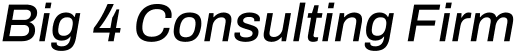 Big 4 Consulting Firm